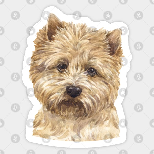 Cairn Terrier Watercolor Art Sticker by doglovershirts